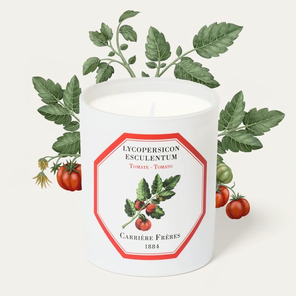 carriere freres tomato candle
